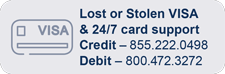 Lost or Stolen VISA Credit & Debit Numbers