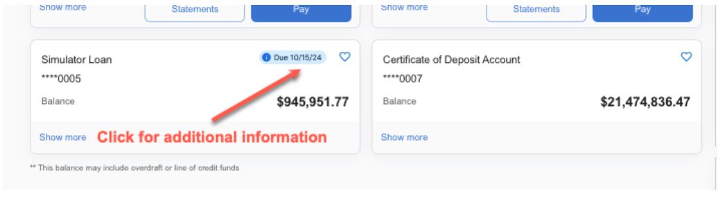 Additional Loan Information