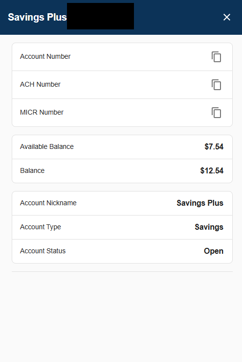Account Details Drawer